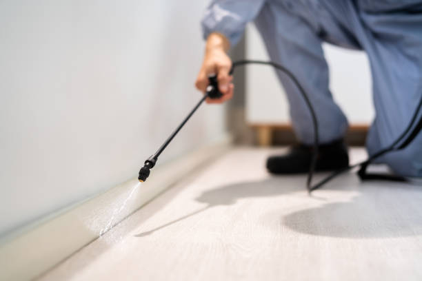 Licensed Termite Control service in Sharon, PA - Nex Pest Control