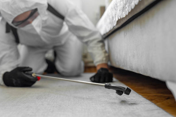 Professional Termite Control technician working in Sharon, PA