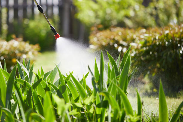 24/7 Emergency Termite Control experts in Sharon, PA